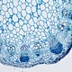 HD LCD Digital Microscope Camera